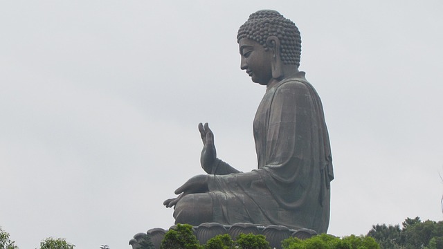 新馬出賽<br>點樣揀？